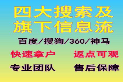 某知名品牌SEM运营策略及效果评估